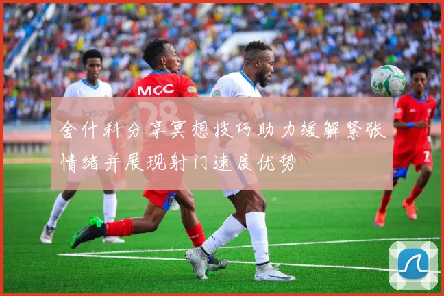 舍什科分享冥想技巧助力缓解紧张情绪并展现射门速度优势
