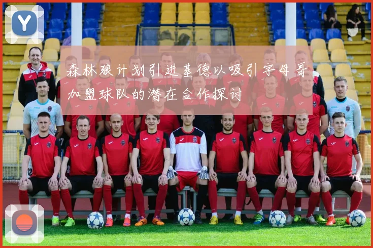 森林狼计划引进基德以吸引字母哥加盟球队的潜在合作探讨